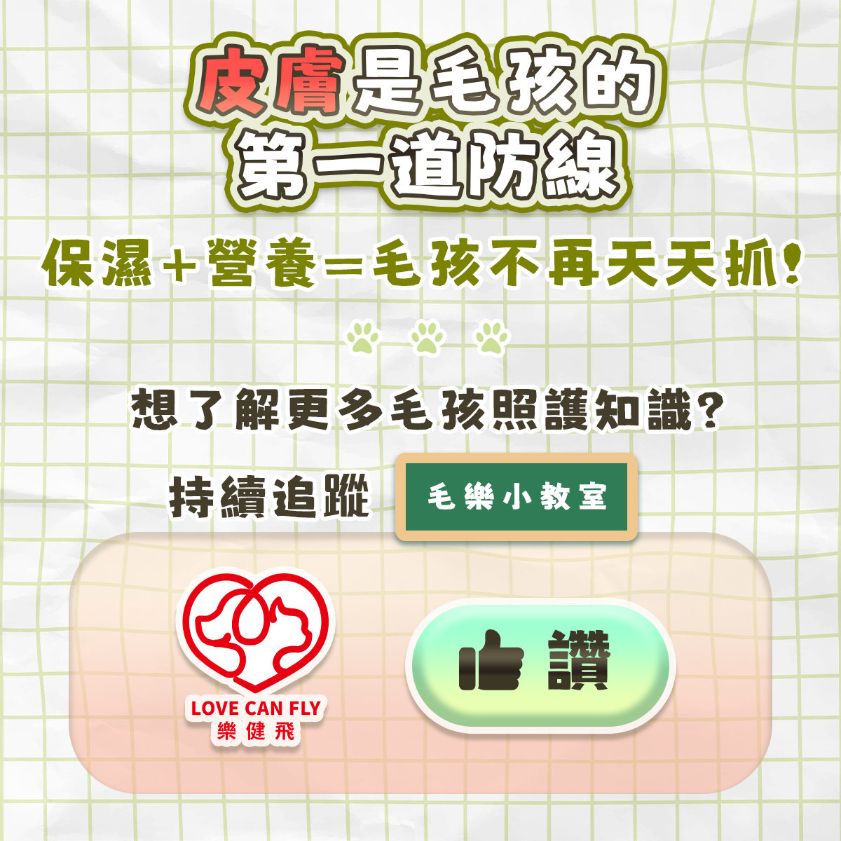 毛孩皮膚乾癢日常照護方式,包括適當洗澡、溫和洗劑、維持濕度與均衡營養