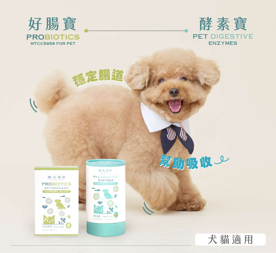 毛家族好腸寶與酵素寶，專為犬貓設計，能有效穩定腸道、促進營養吸收，維持寵物腸胃健康。