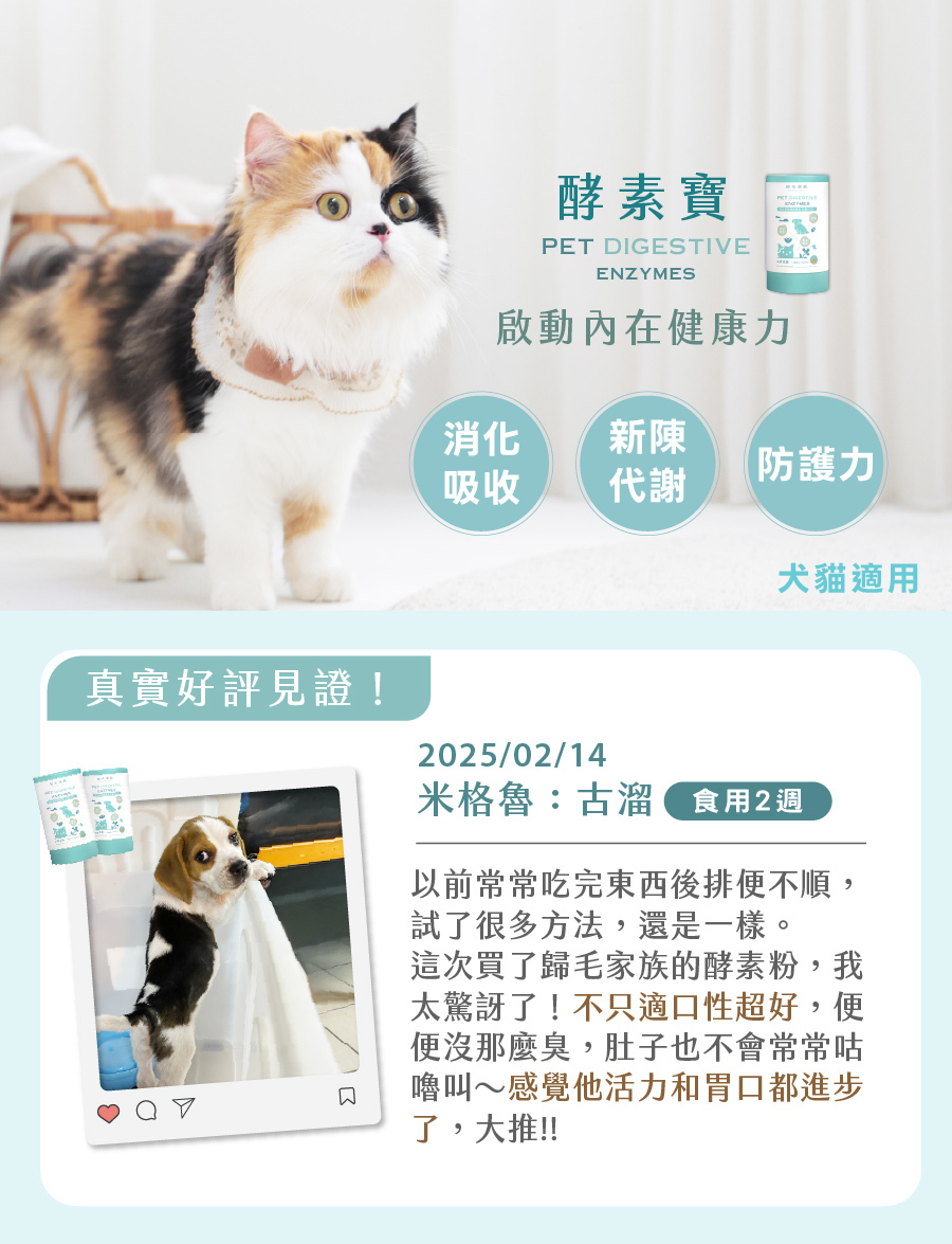 歸毛家族犬貓酵寶粉好評見證，有效提升腸道消化吸收與新陳代謝，改善寵物便秘軟便。