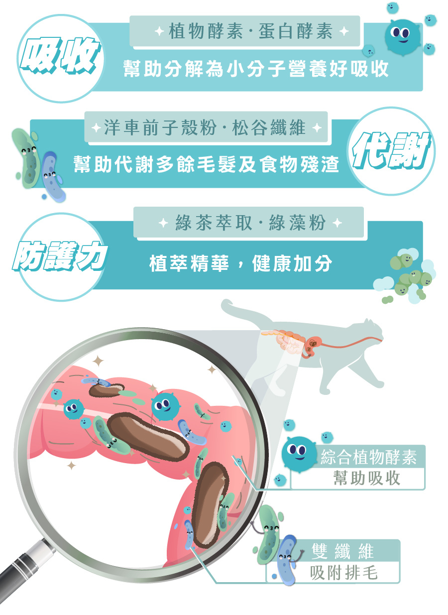 歸毛家族酵素寶添加植物酵素與洋車前子殼粉，以雙纖維吸附排毛與食物殘渣，幫助營養吸收並提升腸道防護力。