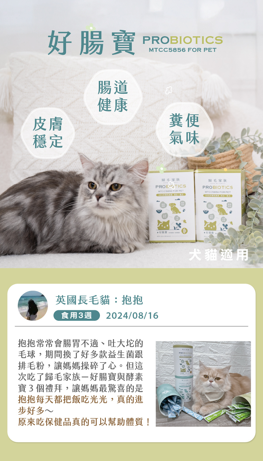 歸毛家族好腸寶寵物益生菌適合怎樣的毛孩？幫助貓狗腸道健康、皮膚穩定、毛髮生長與改善糞便氣味。3個月以上犬貓適用以穩定體質，更適合懷孕、手術後、服用抗生素及有腸胃狀況的寶貝由內保健。