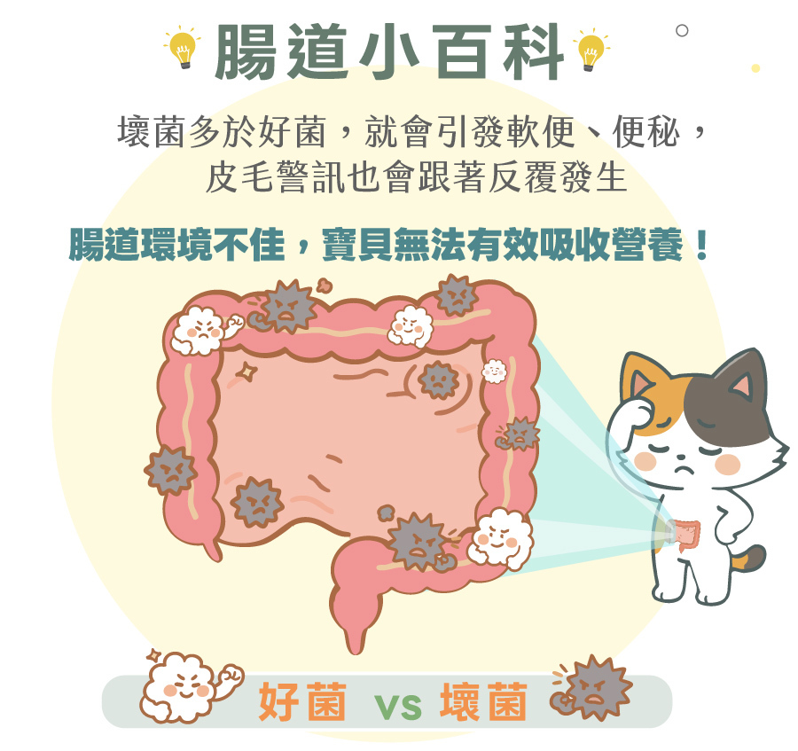 歸毛家族好腸寶寵物益生菌：針對毛孩腸胃不穩定、食慾差、便秘、軟便及便便好臭等腸道問題。腸道小百科科普：壞菌多於好菌會引發犬貓腸胃不適，導致寶貝無法有效吸收營養。