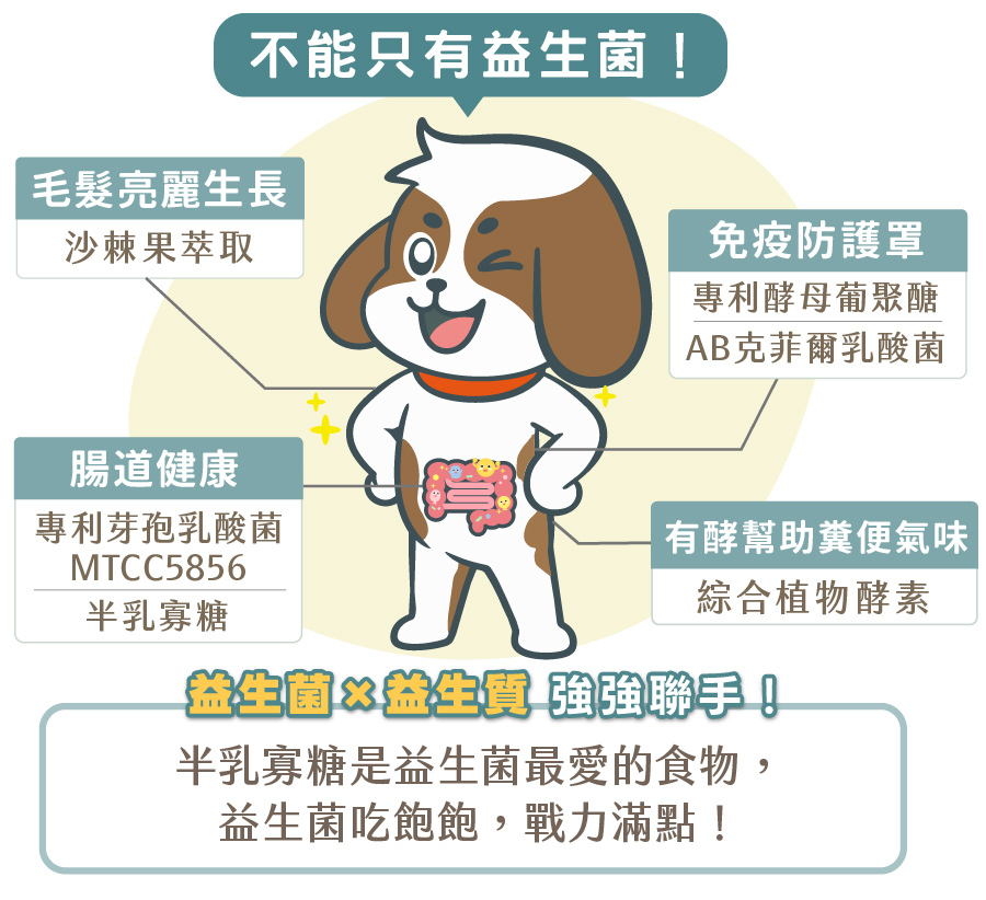 歸毛家族好腸寶全成分與複方功效：專利芽孢乳酸菌 MTCC5856 與半乳寡糖（益生質）強強聯手維護腸道健康；添加沙棘果萃取促進毛髮亮麗生長；專利酵母葡聚醣與 AB 克菲爾乳酸菌打造免疫防護罩；綜合植物酵素有酵幫助改善糞便氣味。