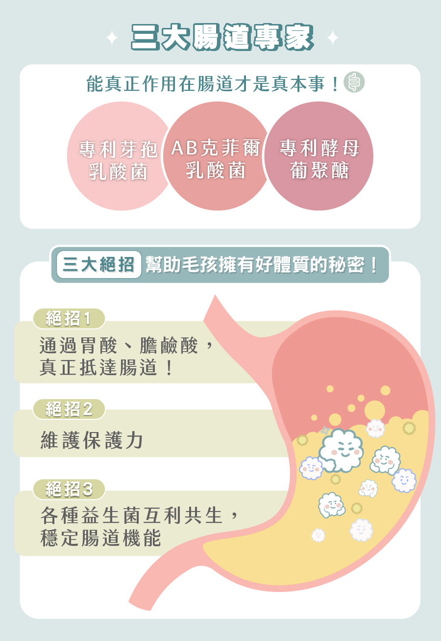歸毛家族好腸寶三大腸道專家絕招：專利芽孢乳酸菌、AB克菲爾乳酸菌、專利酵母葡聚醣互利共生，能通過胃酸膽鹼酸直達腸道維護保護力。
