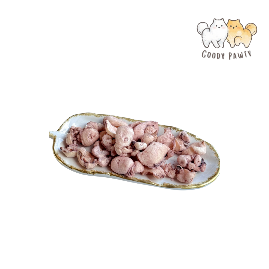 Goody Pawty 熟食凍乾 魷魚腳