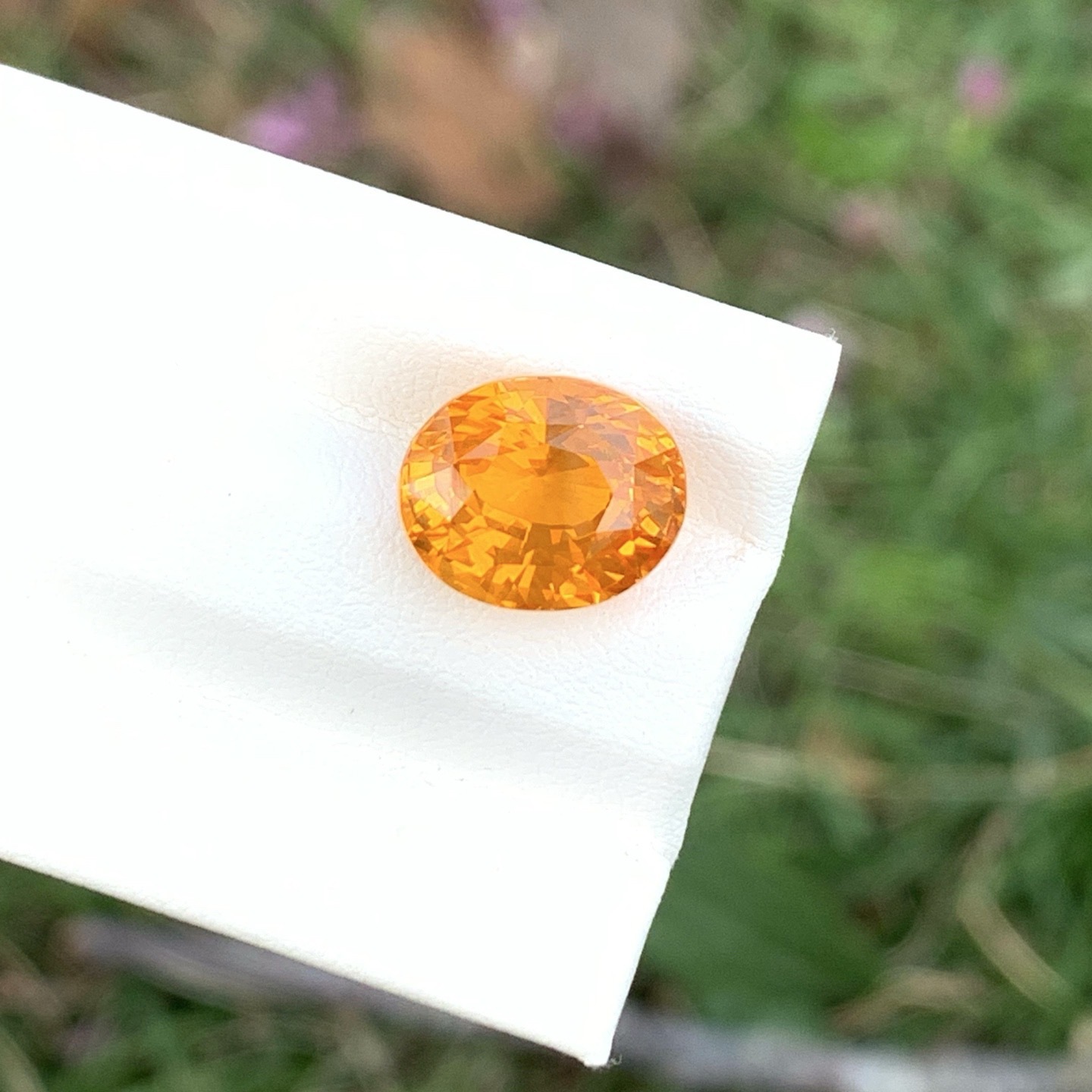 Collector’s Grade | Sri Lankan Yellow Sapphire
