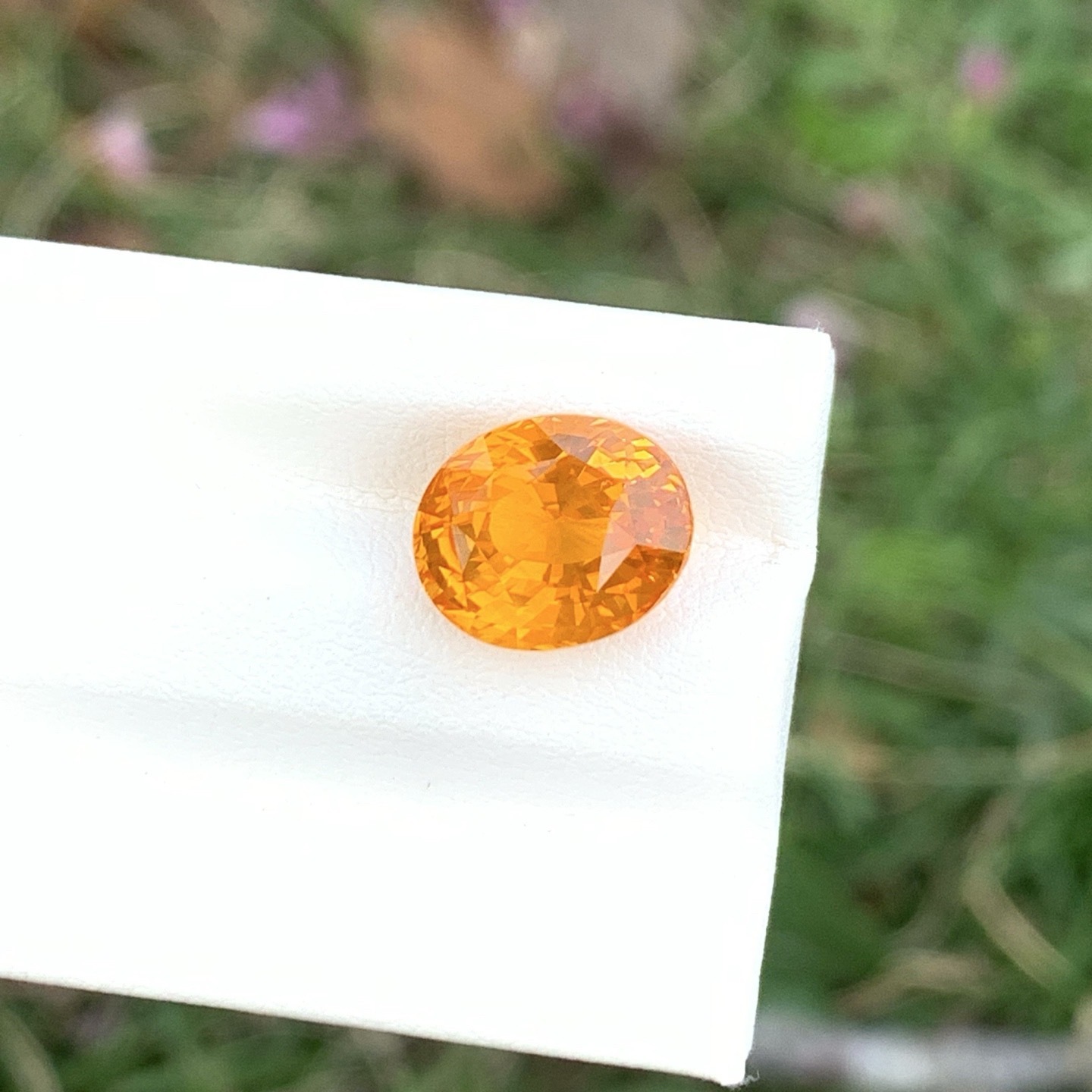 Collector’s Grade | Sri Lankan Yellow Sapphire