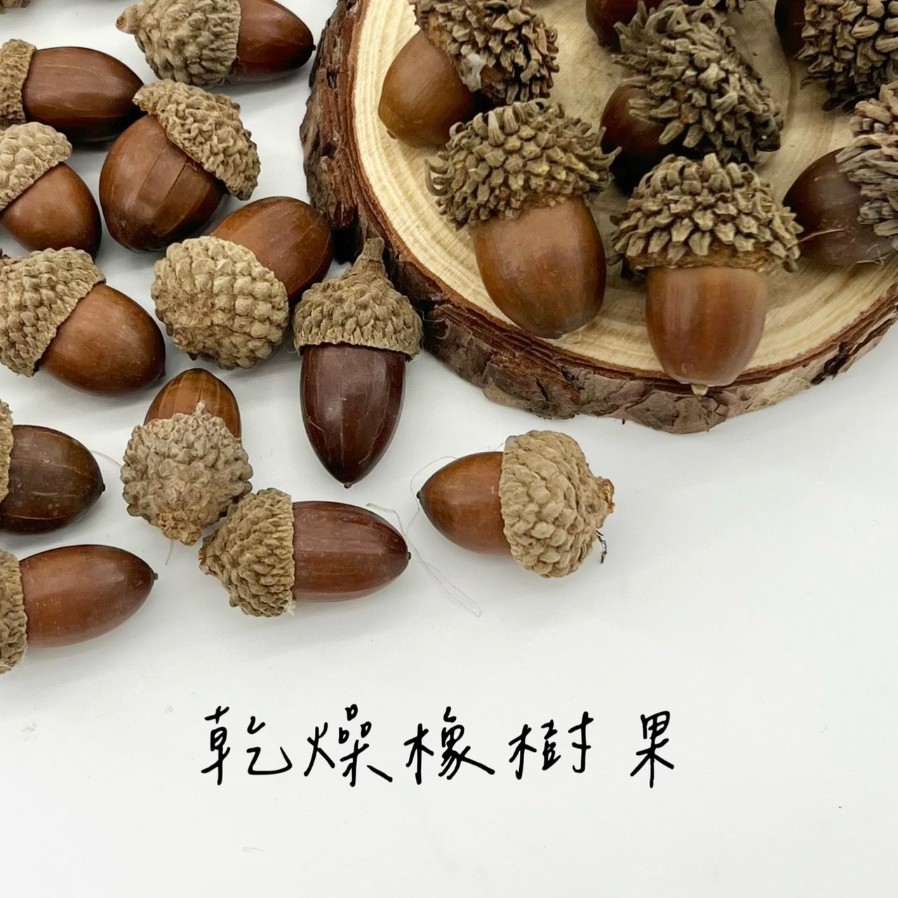 乾燥橡樹果(2款)