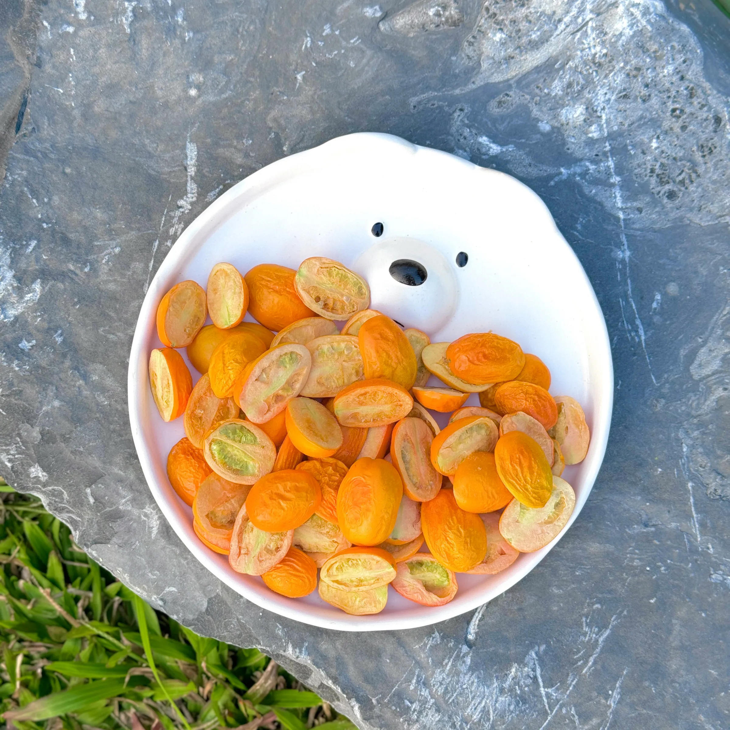 Goody Pawty 冷凍乾燥 小蕃茄