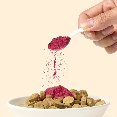 knollo- Fruit Powder•水果泥粉 65g
