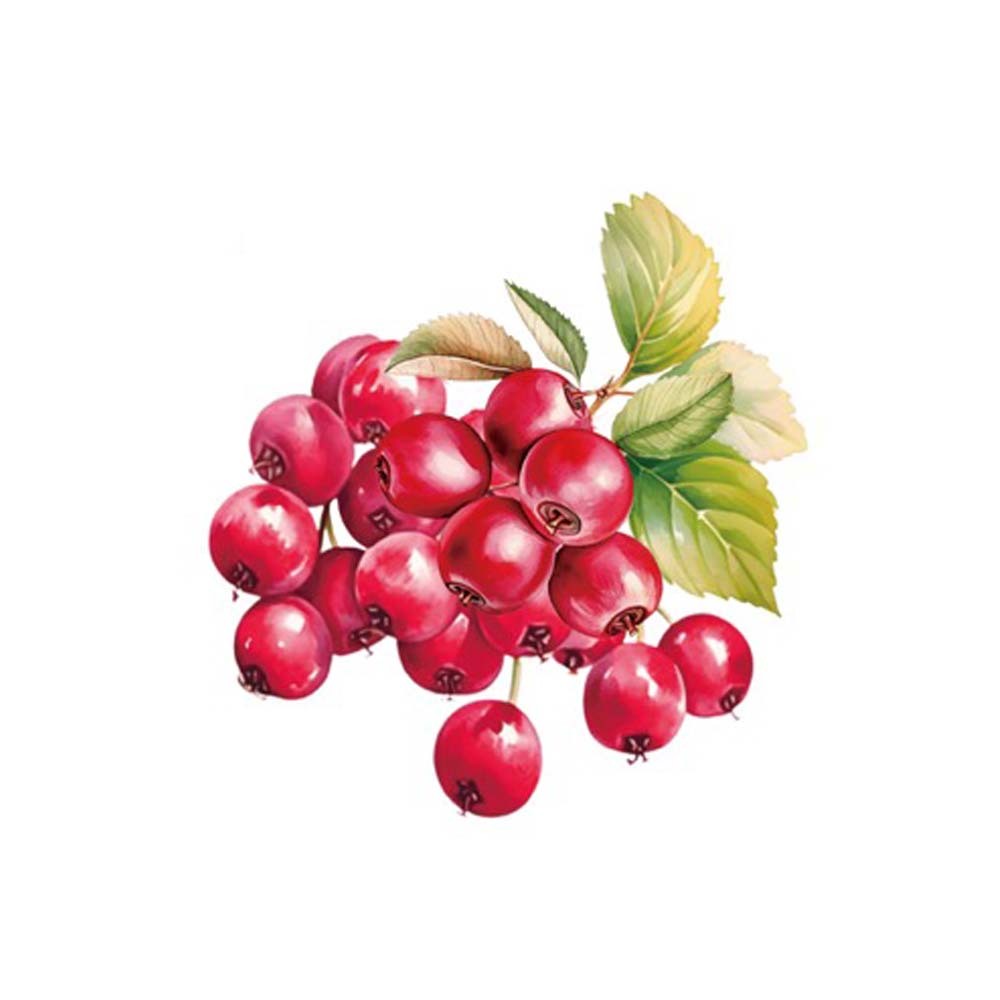 【 Glycemic】