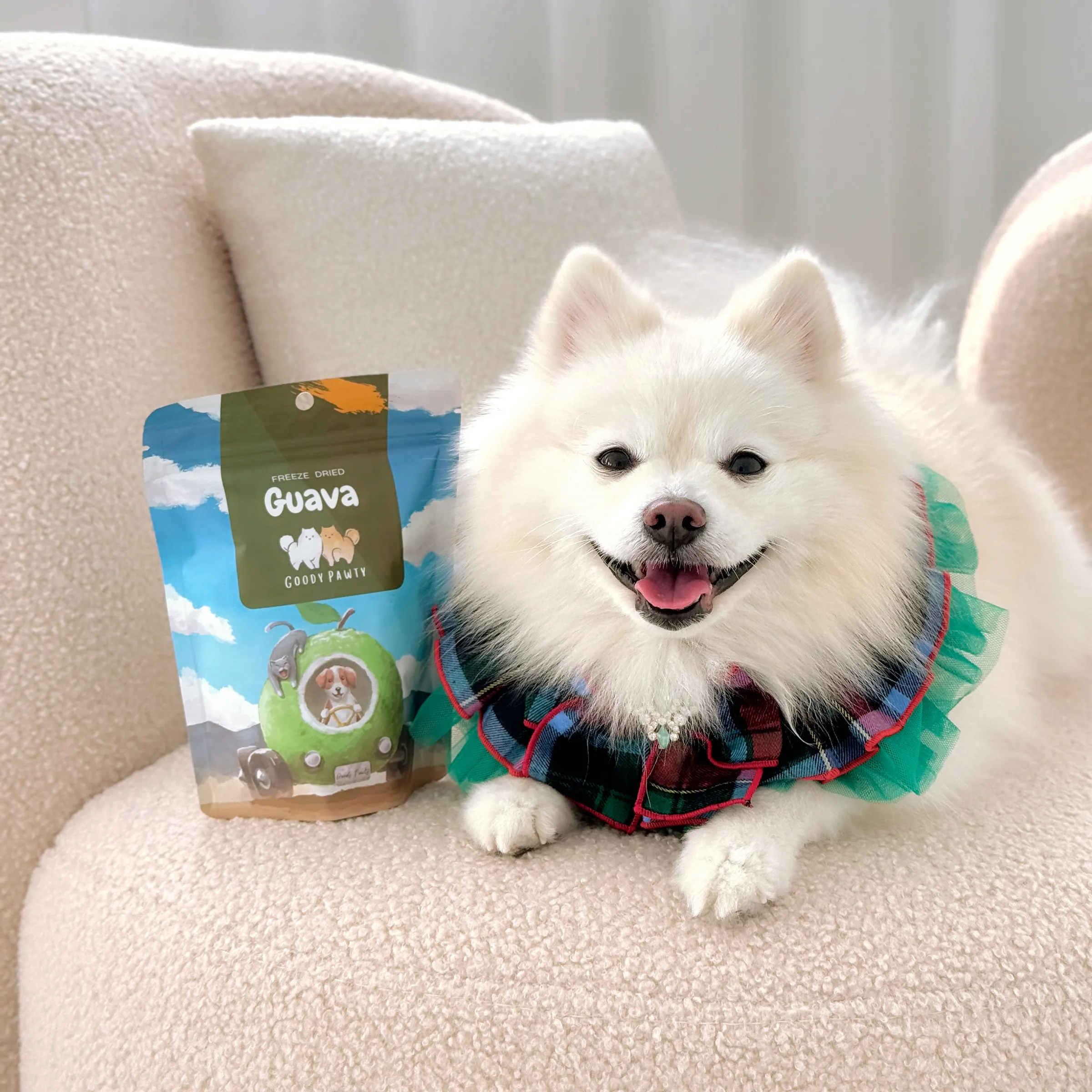 Goody Pawty 冷凍乾燥 芭樂