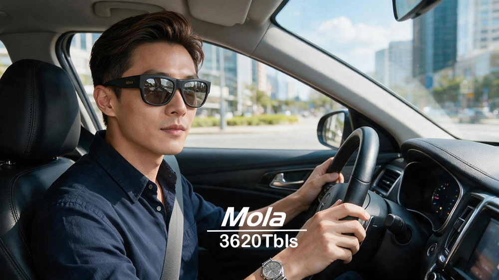MOLA摩拉 3620Tbls 近視偏光太陽套鏡|開車防眩光 UV400 一年保固