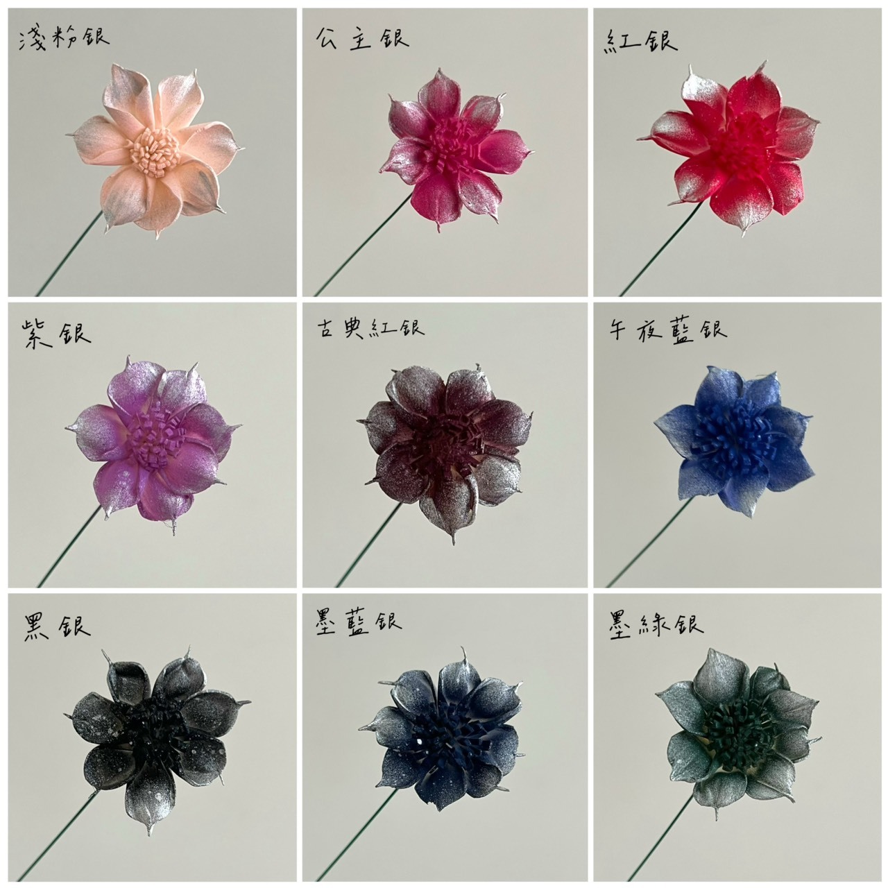越南索拉花 圓葉水仙百合 4CM<十支一把>