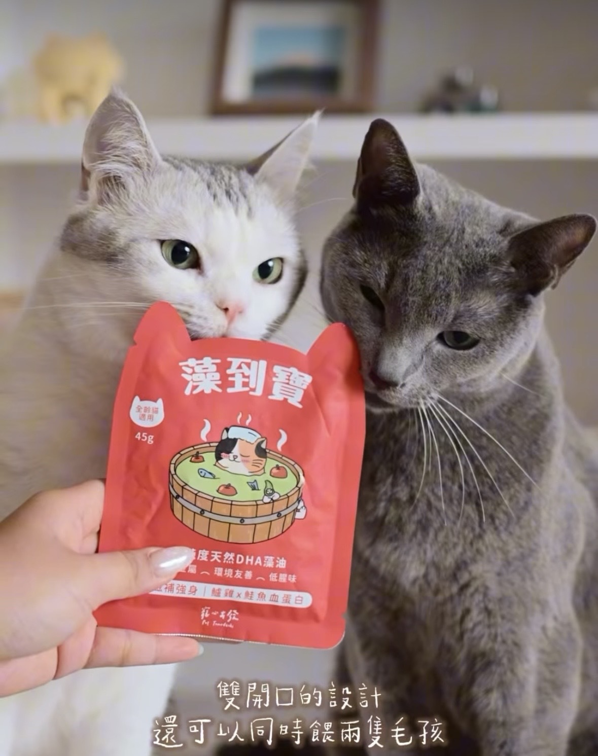 【5包試食裝】台灣寵心出發｜藻到寶貓咪肉泥主食餐包 45g (平均口味)