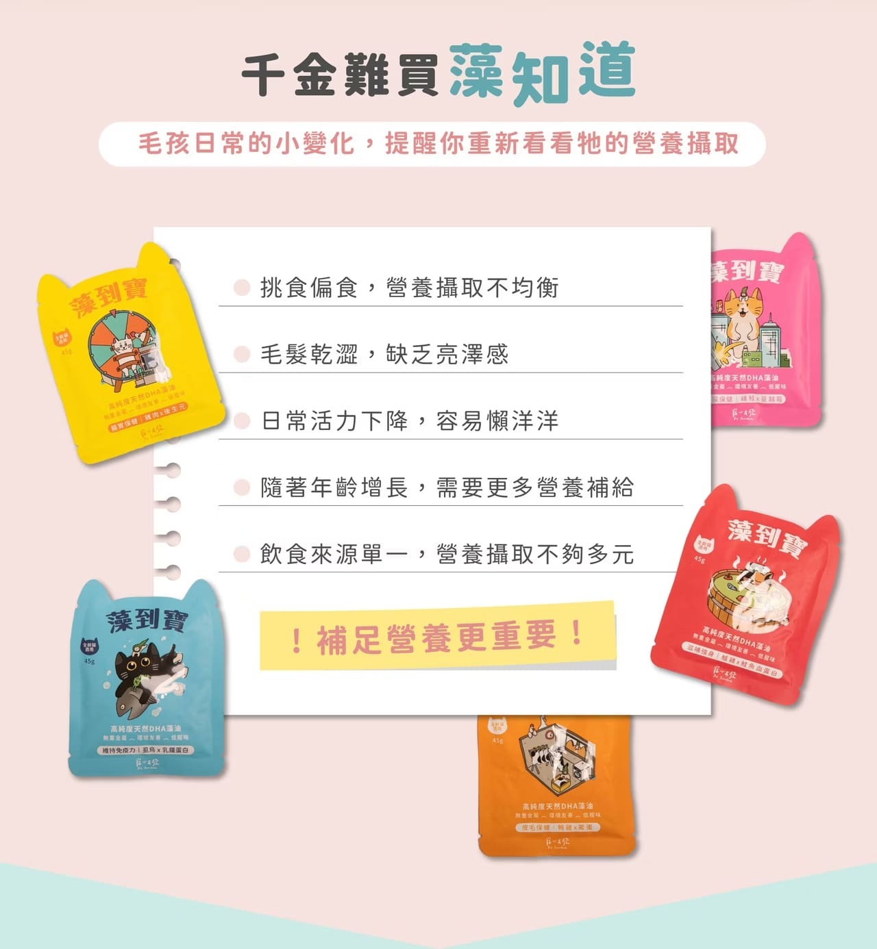寵心出發 藻到寶