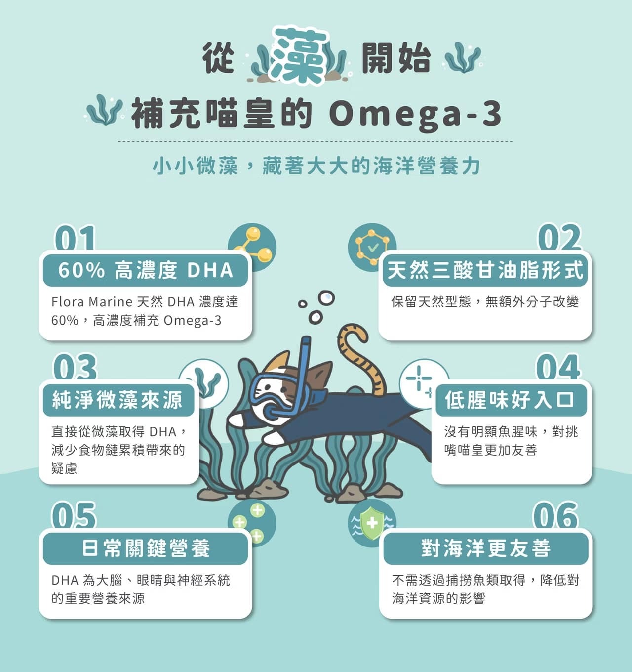 寵心出發 藻到寶
