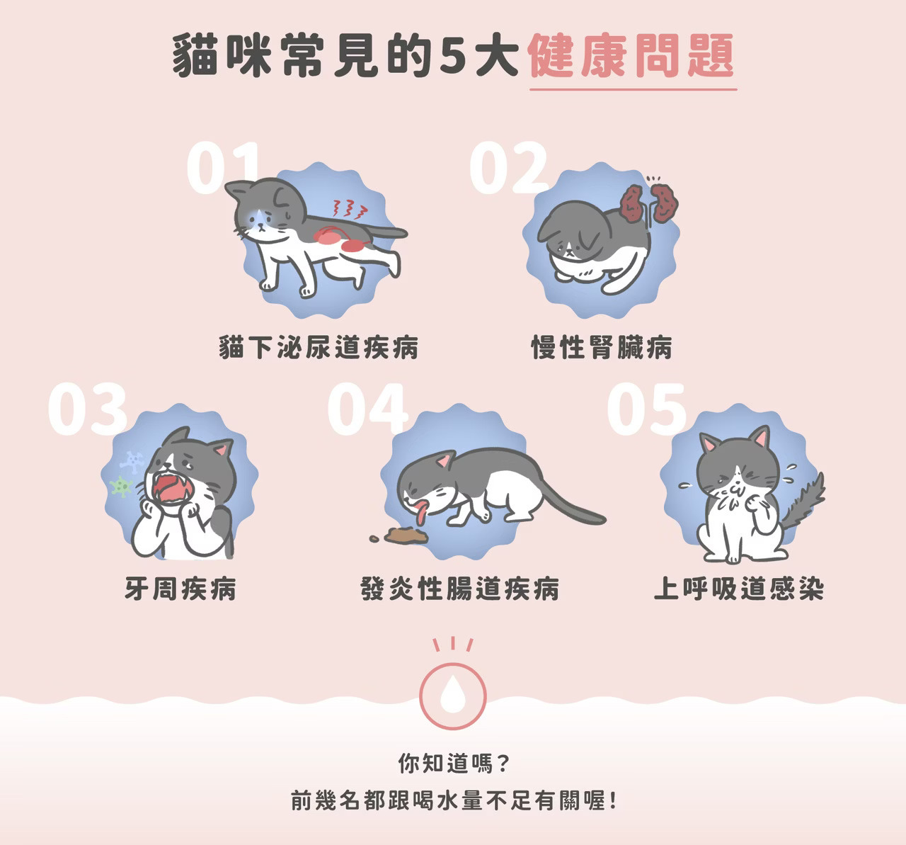 寵心出發 藻到寶