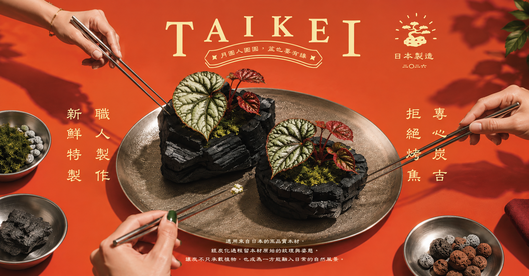 炭景 TAN KEI 天然炭植物盆器搭配雨景不鏽鋼接水盤的植物微景觀