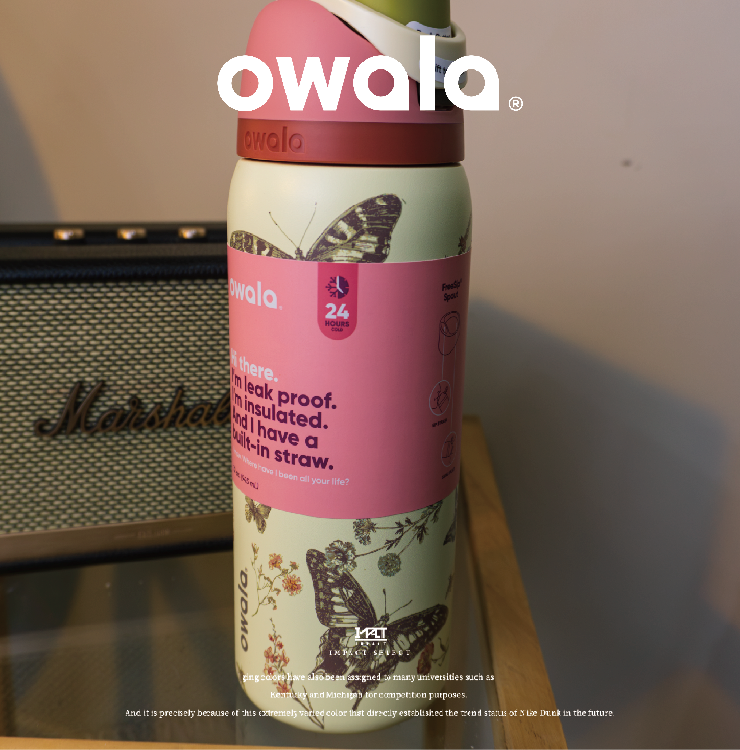 Owala FreeSip限定版保溫瓶32oz - 波西米亞蝴蝶Boho Butterfly