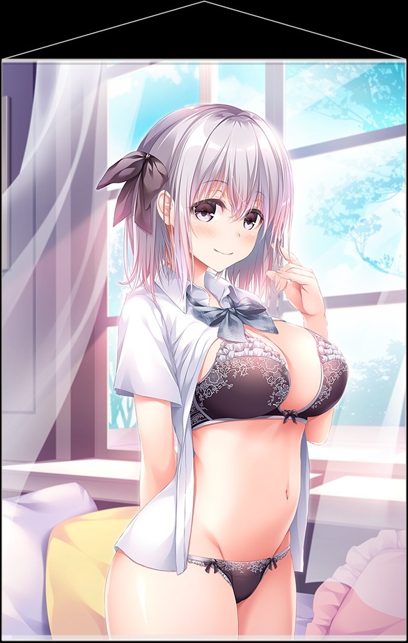 「R18.Japan」「預購」Willplus 光乃くろの 原創插畫「抱き彼女」小日向結菜 A1掛布