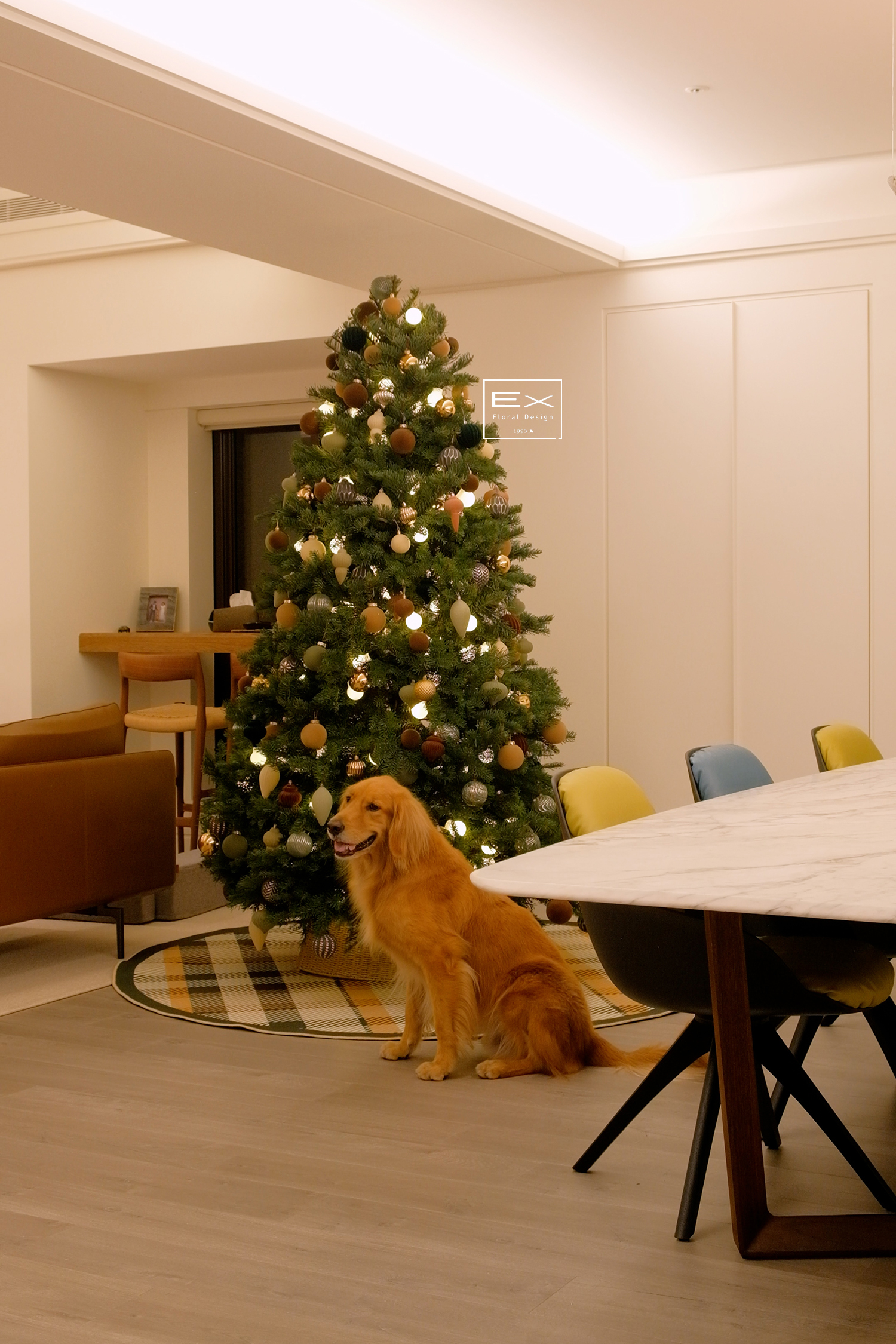 *預購預計11月底發貨* 進口諾貝松聖誕樹 Noble Fir