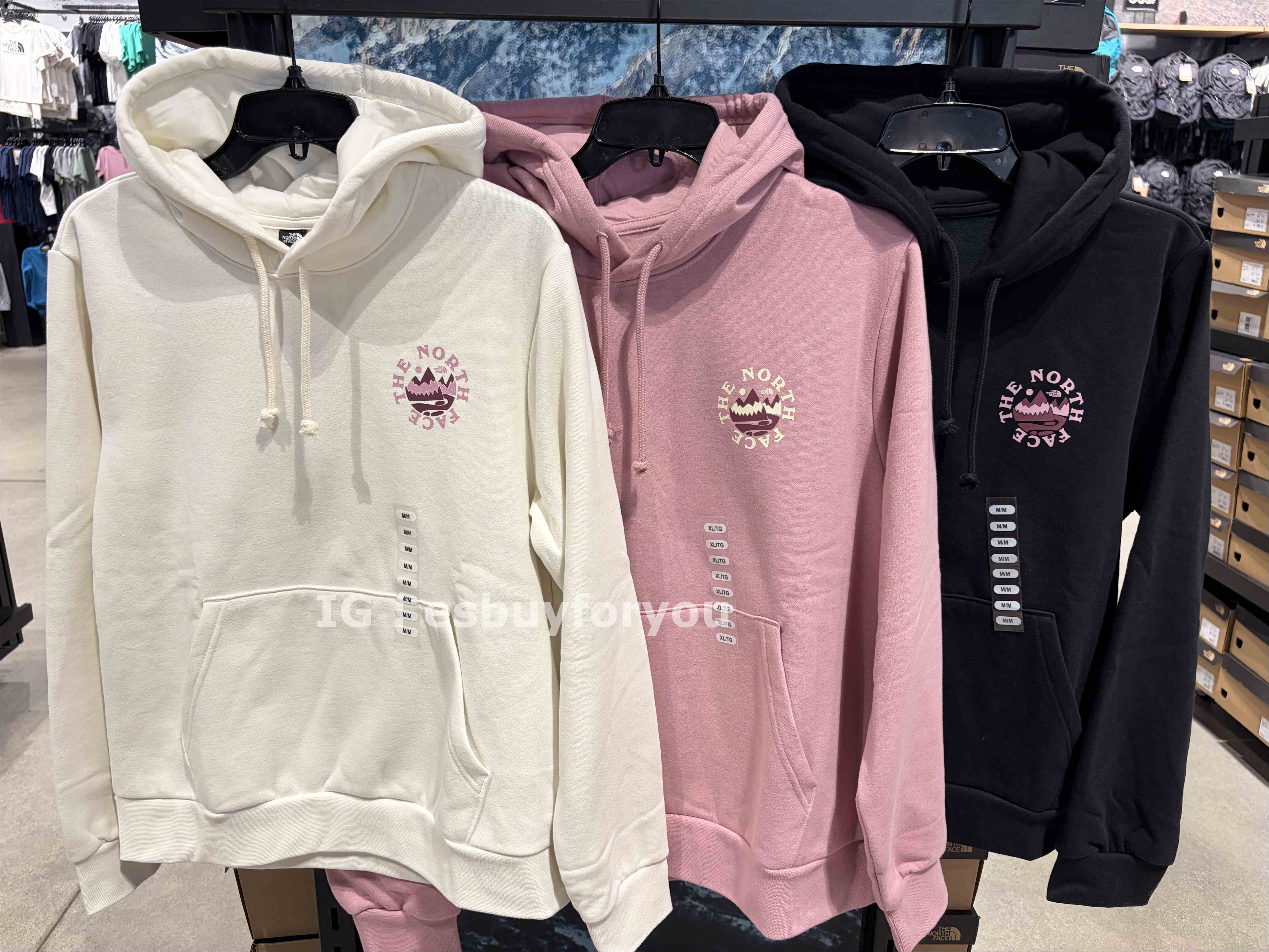THE NORTH FACE 女大人 造型小山脈 刷毛 帽TEE (3色)