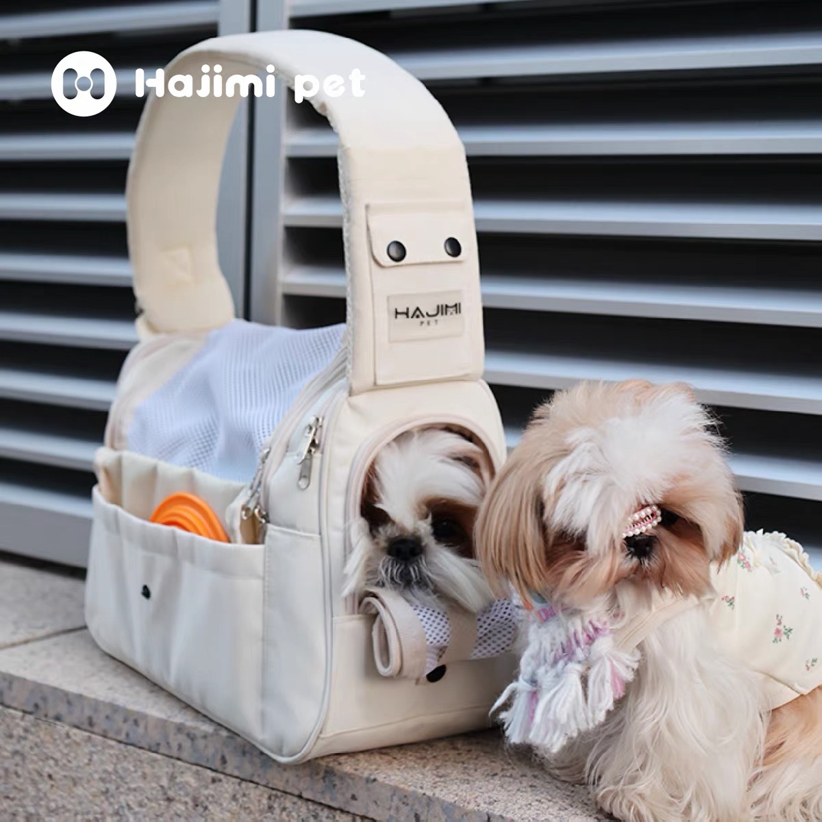 HAJIMI PET BAG