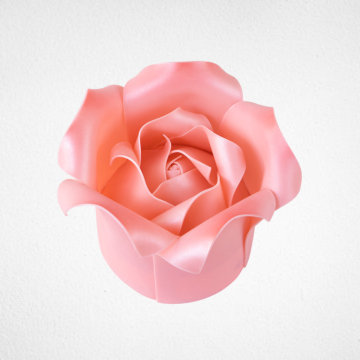 Pink Rose Cake PTW018L