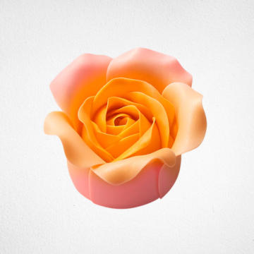 Gold & Pink Rose Cake PTW185L