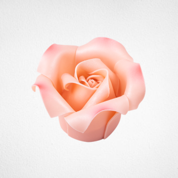 Mini Pink Rose Cake PTW018M