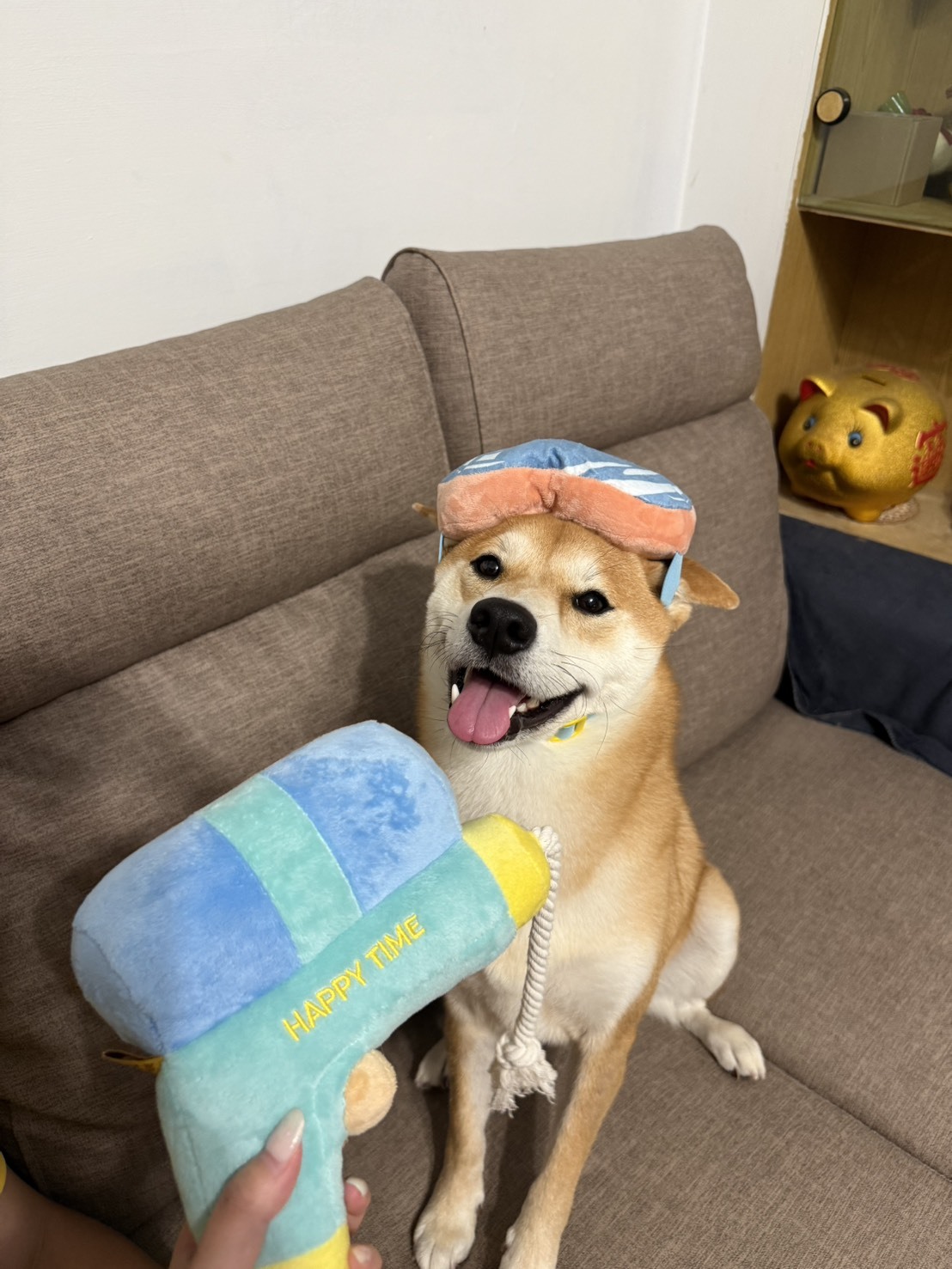 Happy Pup 4