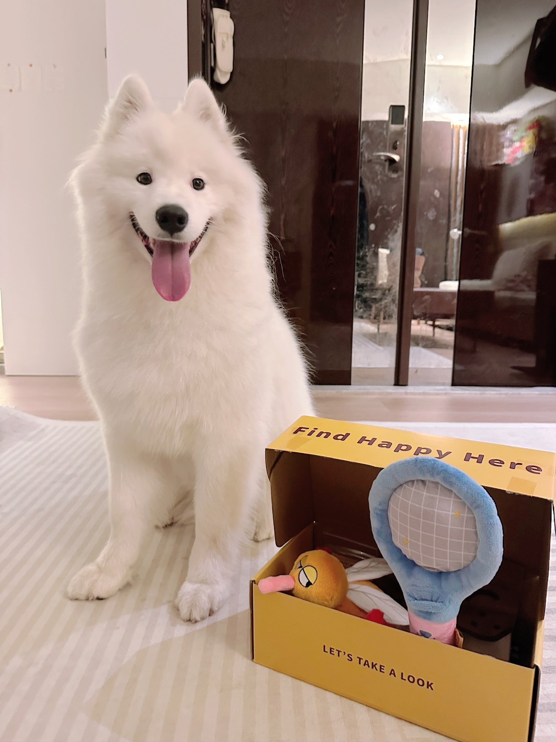 Happy Pup 8