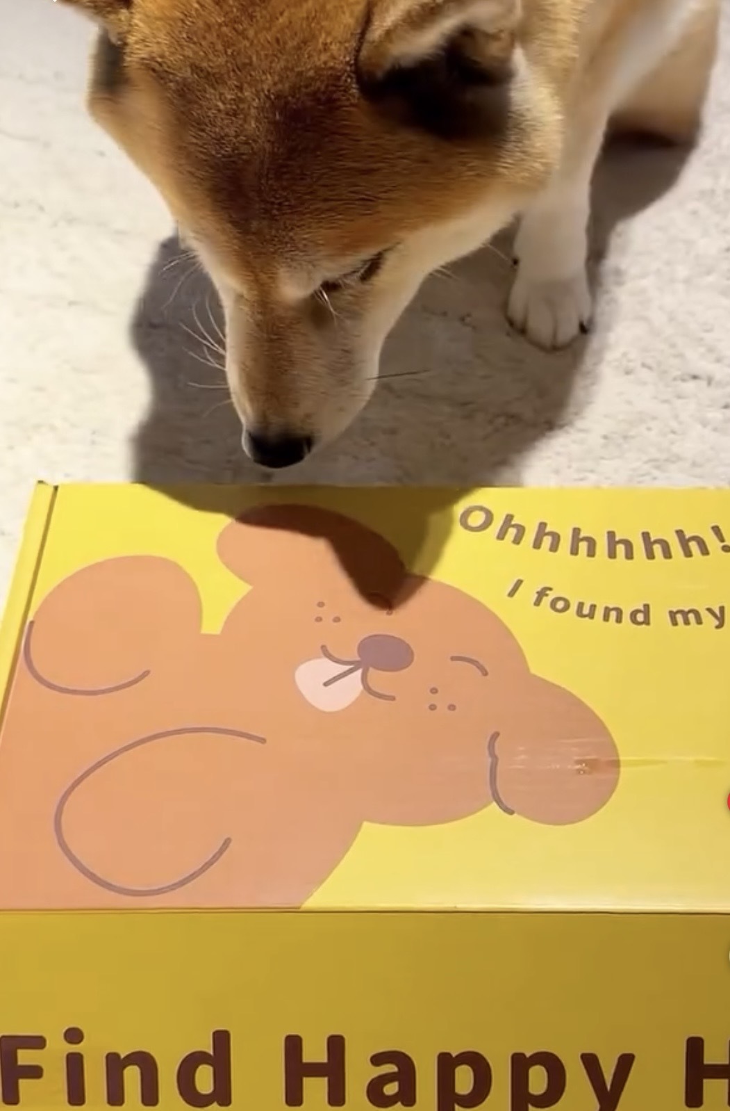 Happy Pup 9
