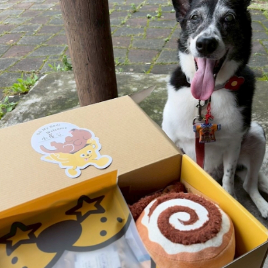 Happy Pup 16