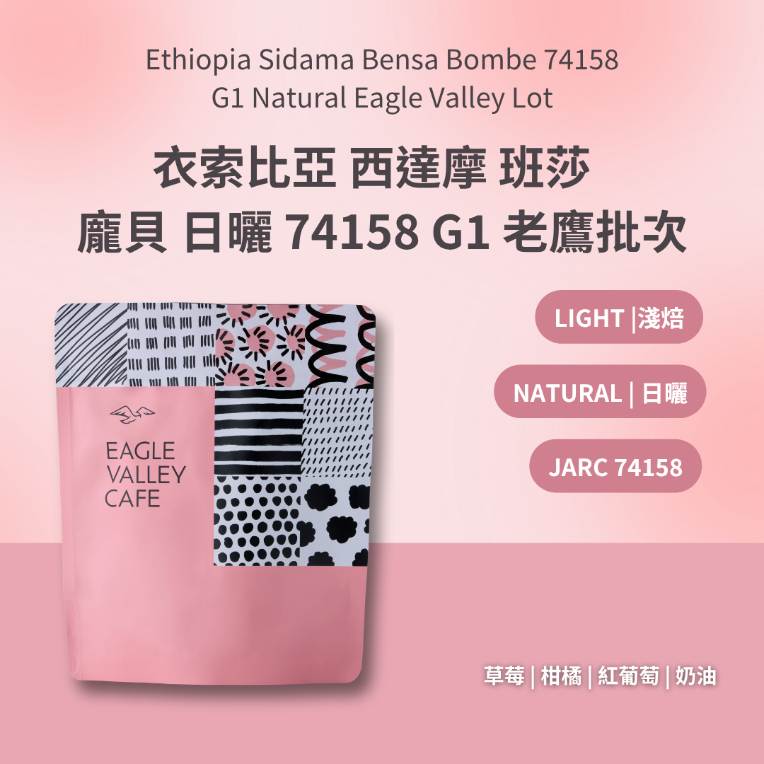 衣索比亞 西達摩 班莎 龐貝 日曬 G1 74158 老鷹批次 淺焙 咖啡豆
