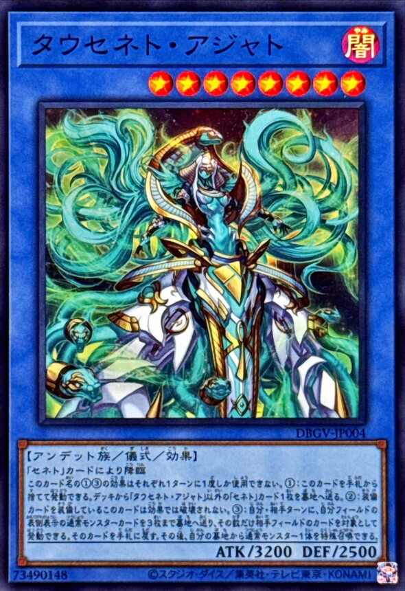 DBGV-JP004 タウセネトアジャト (SR)