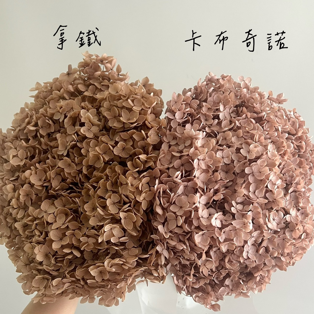 不凋繡球花(帶桿)-咖啡色系