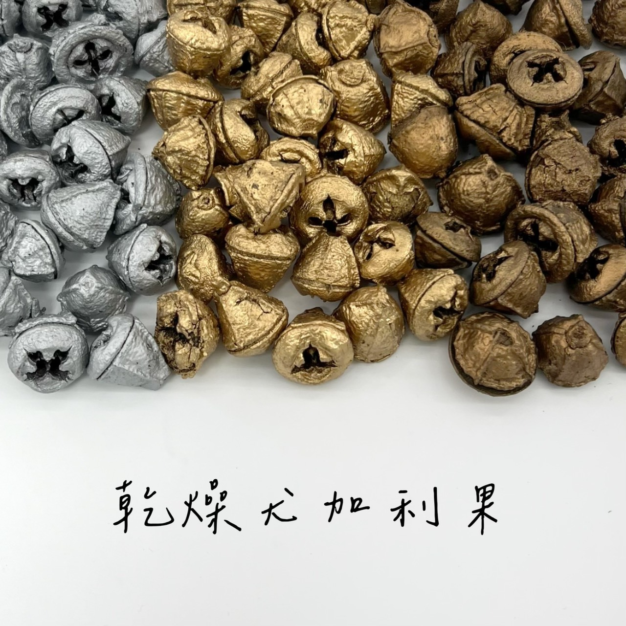 乾燥尤加利果(包)