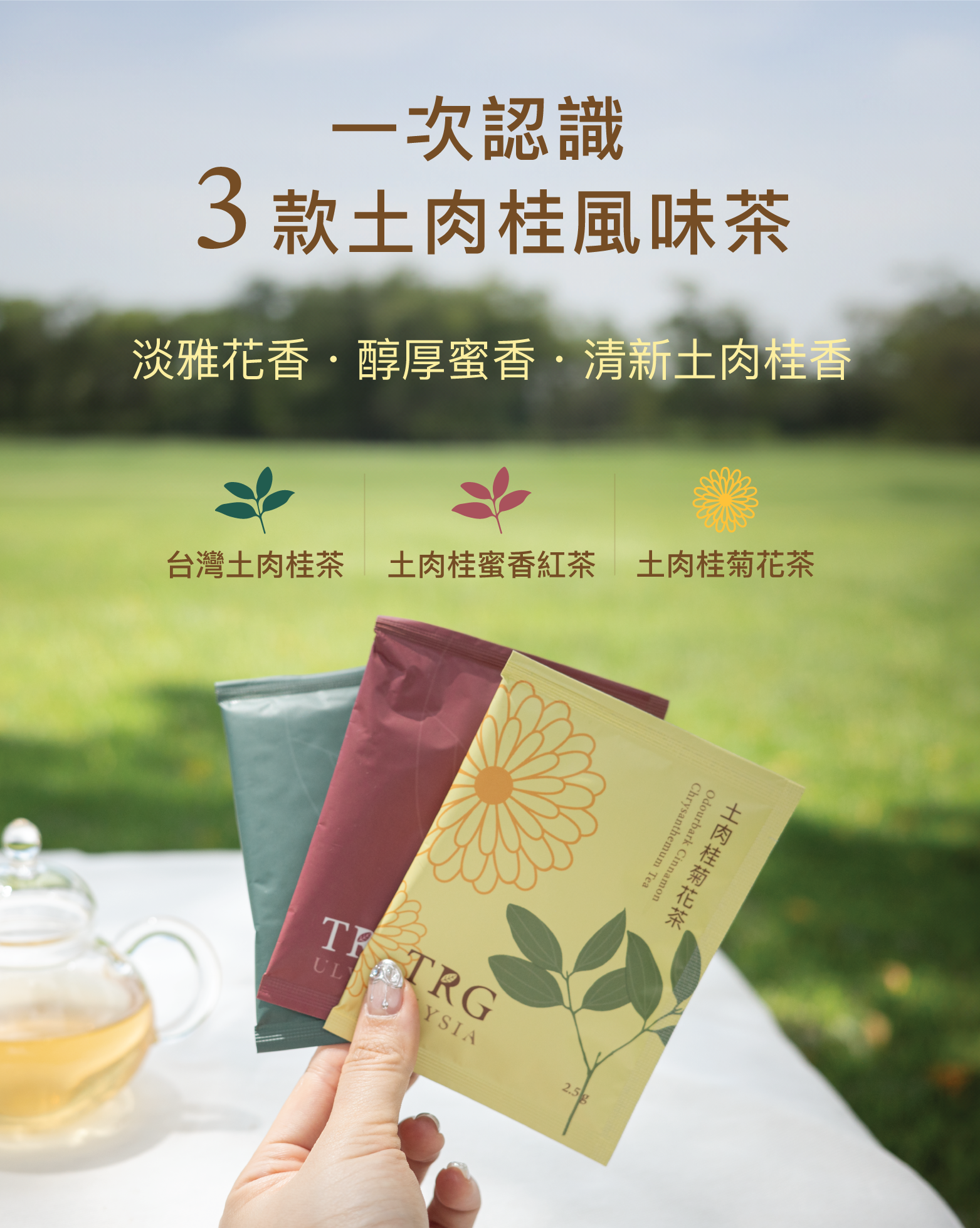 一次認識3款土肉桂風味茶