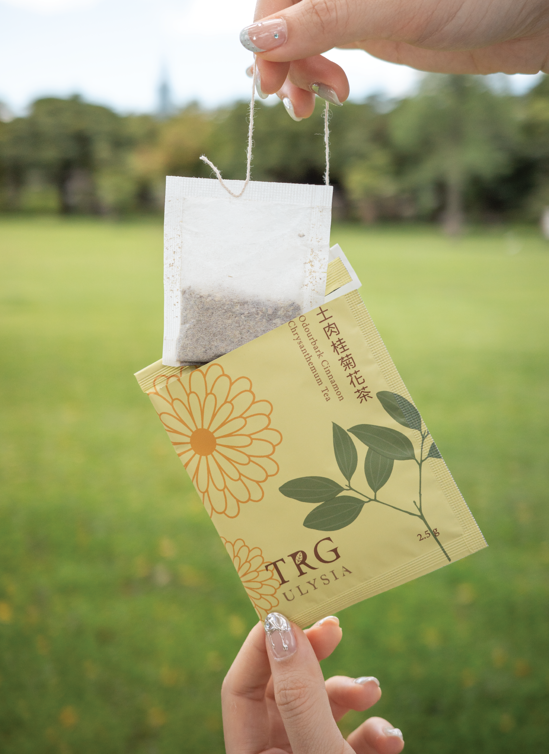 小小的茶包,滿滿台灣好滋味