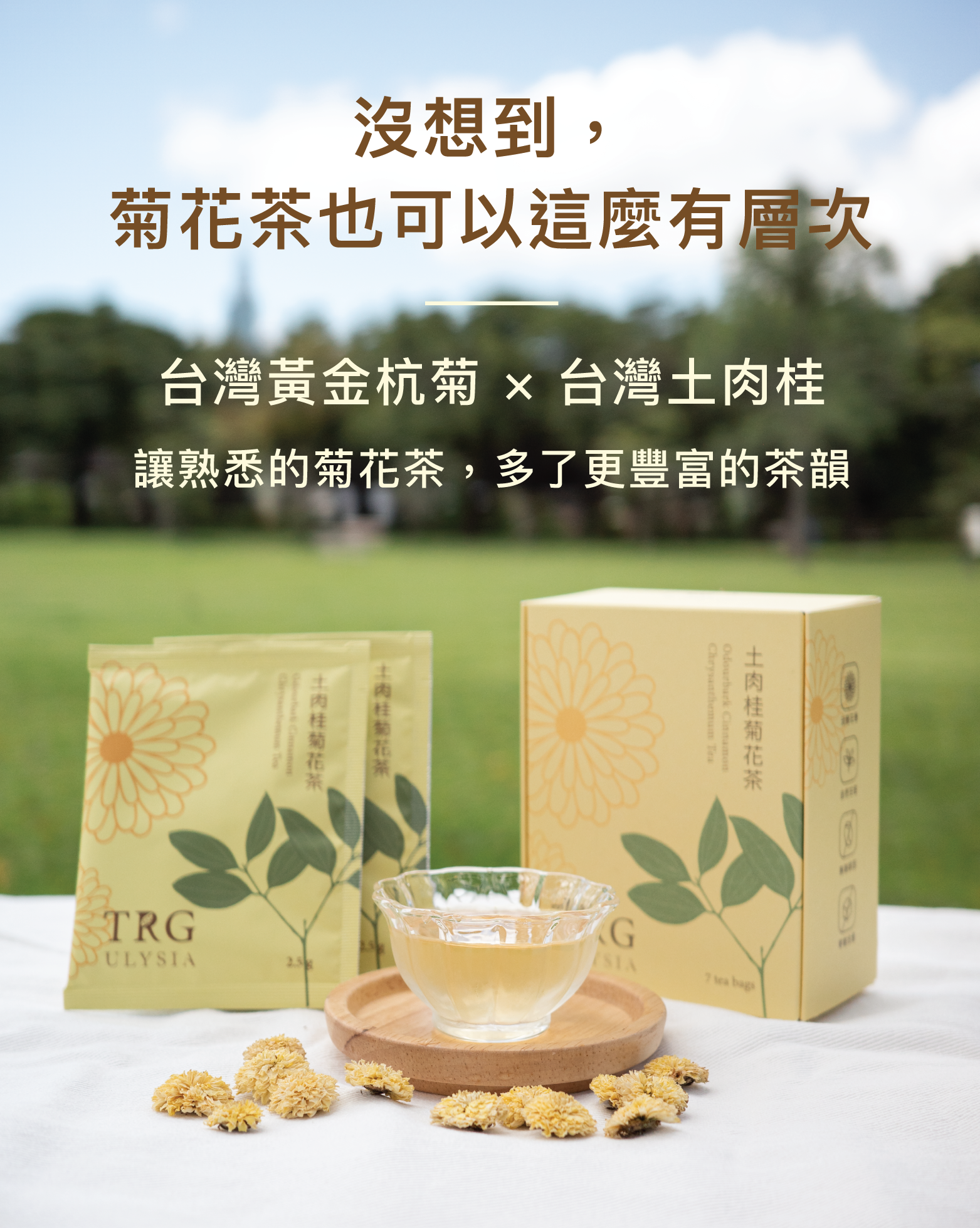 沒想到，菊花茶也可以這麼有層次，台灣黃金杭菊 × 台灣土肉桂，讓熟悉的菊花茶，多了豐富的茶韻