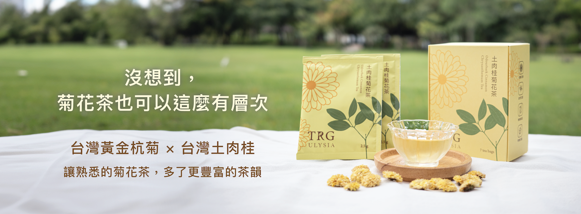 沒想到，菊花茶也可以這麼有層次，台灣黃金杭菊 × 台灣土肉桂，讓熟悉的菊花茶，多了豐富的茶韻