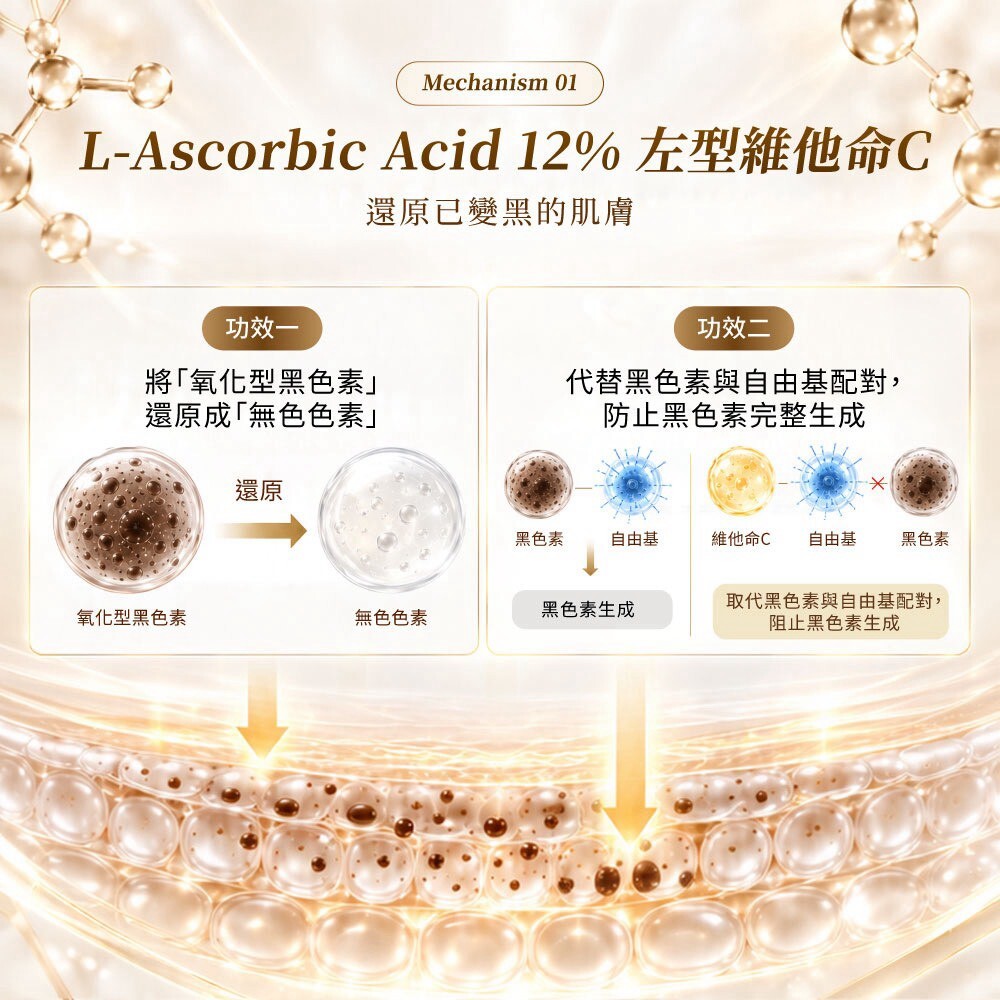 蛋殼北北12%左型C維他命C美白亮膚精華