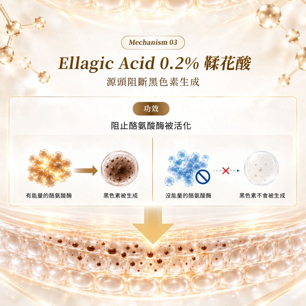 蛋殼北北12%左型C維他命C美白亮膚精華