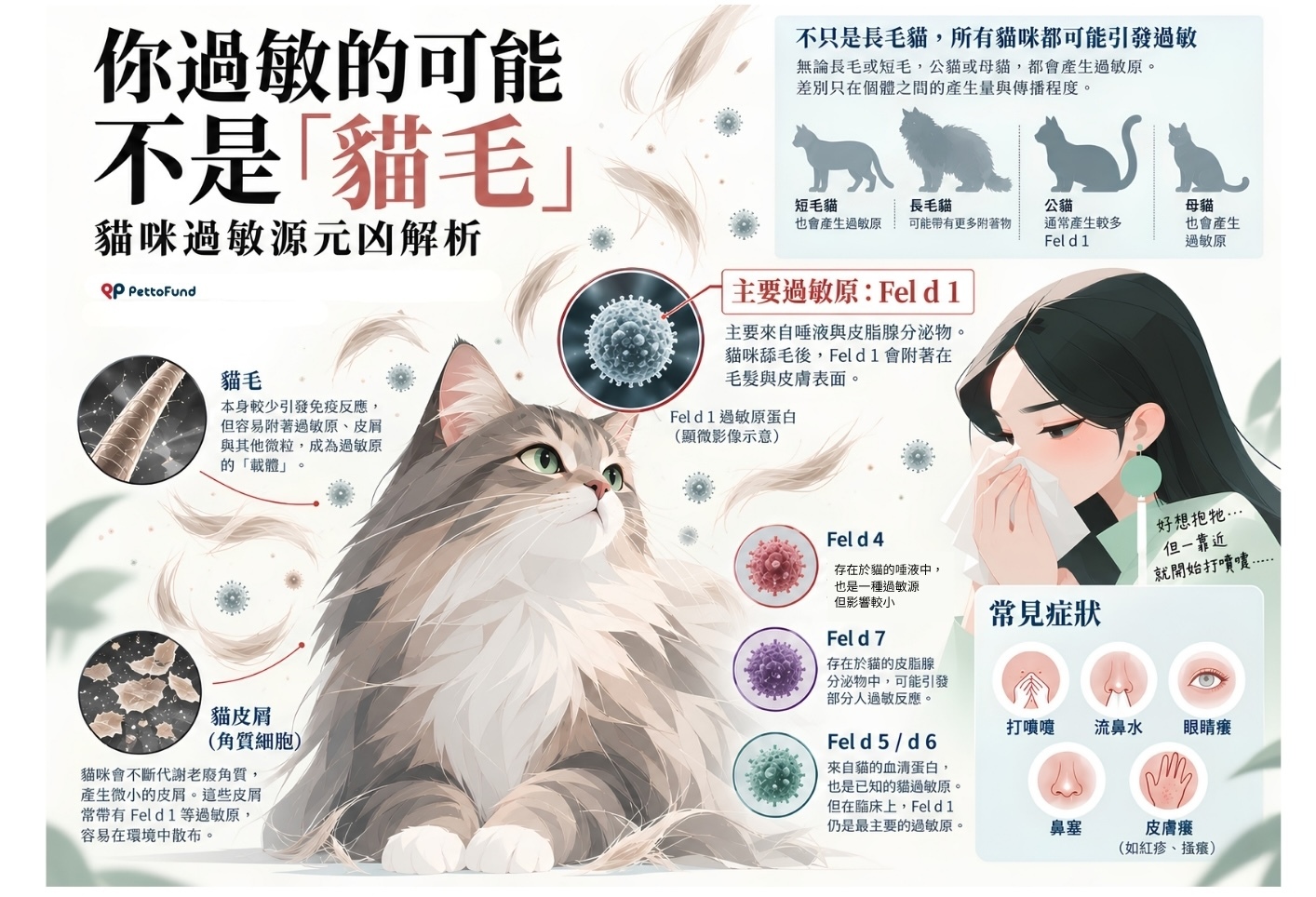 圖片主張的核心過敏原是 Fel d 1。它主要來自貓的唾液與皮脂腺等分泌物，貓舔毛後會使 Fel d 1 附著於毛髮、皮屑及居家環境顆粒，再進一步進入空氣中。因此「貓毛過敏」更精確地說，是對貓來源過敏原、尤其 Fel d 1 的致敏反應。