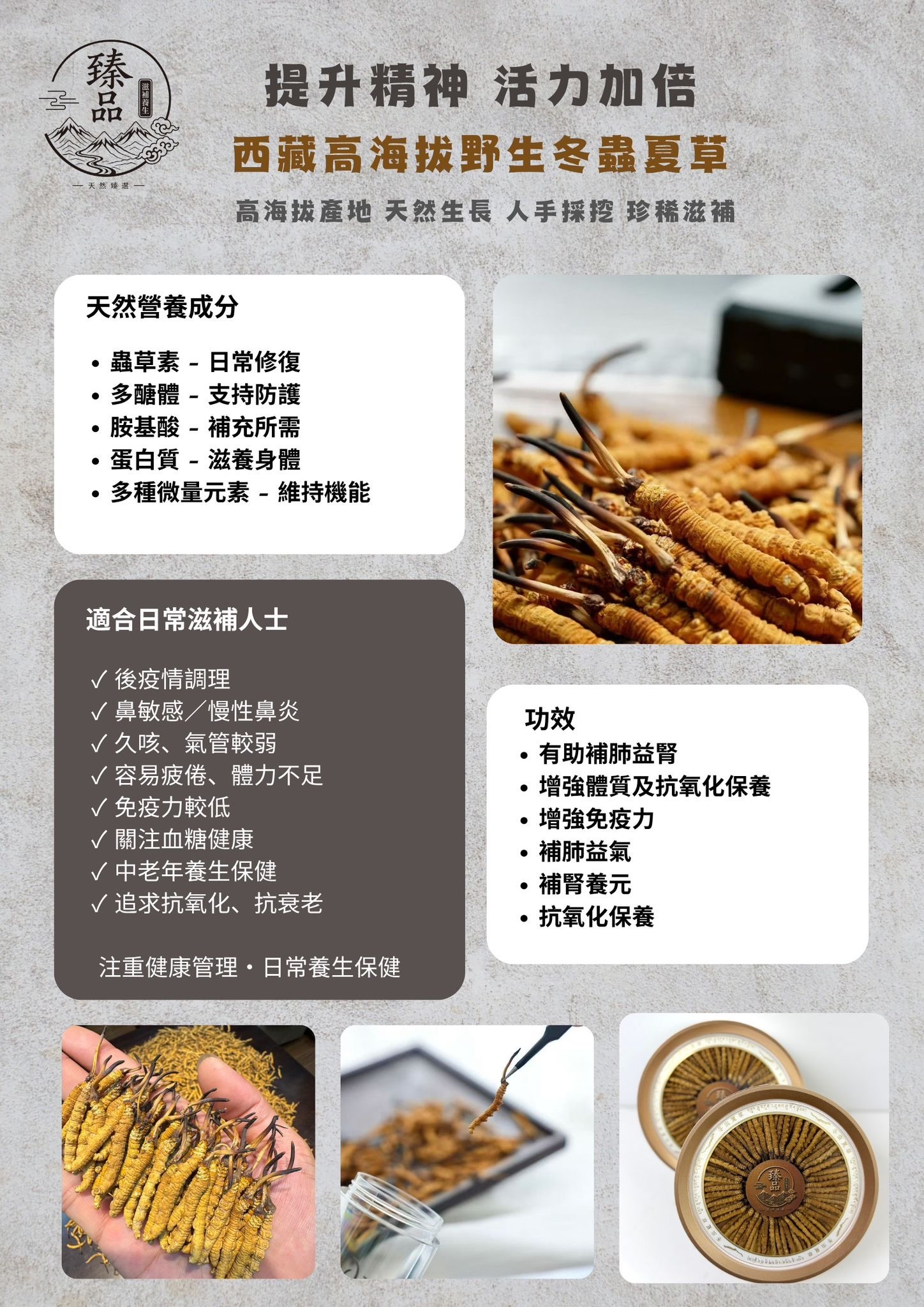 臻品西藏高海拔野生冬蟲夏草禮盒裝