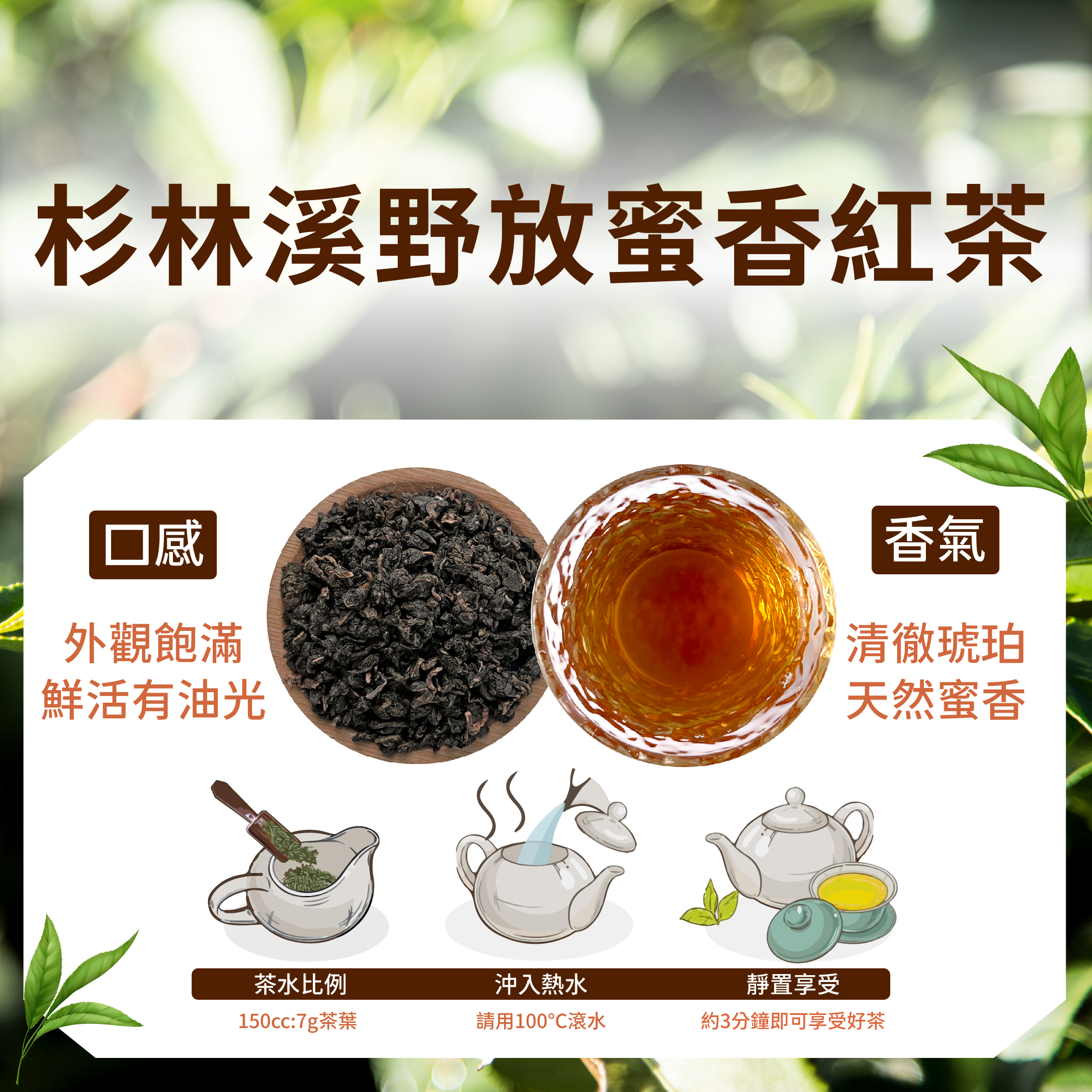 單包－杉林溪野放蜜香紅茶
