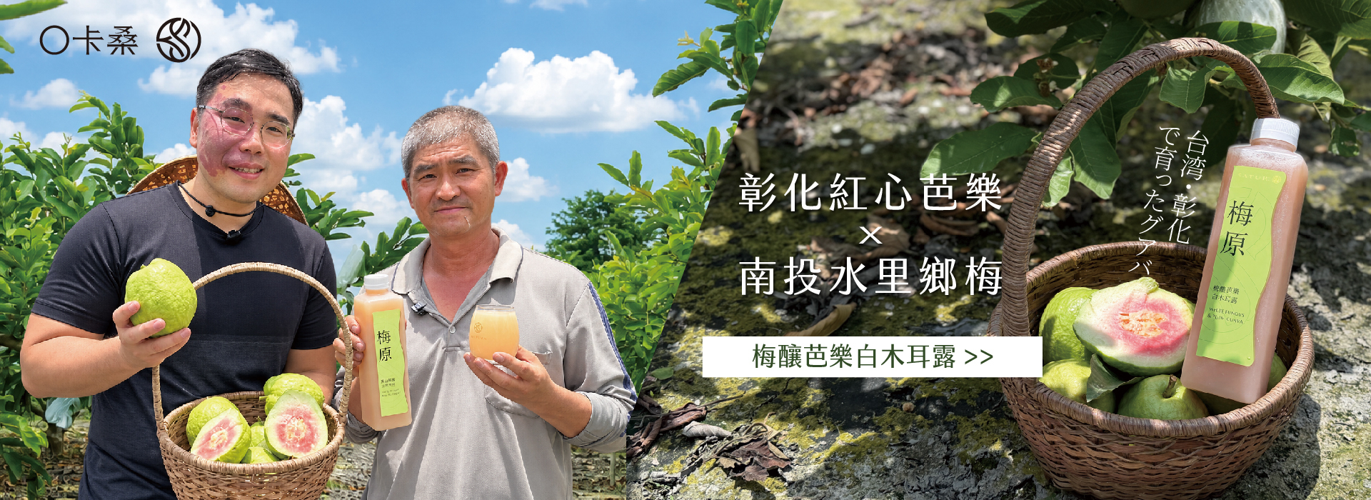 芭樂,彰化,梅子,白木耳露,銀耳
