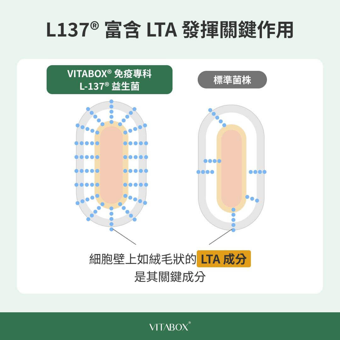L-137® 植物乳酸菌細胞壁上的脂壁酸 LTA 結構示意圖